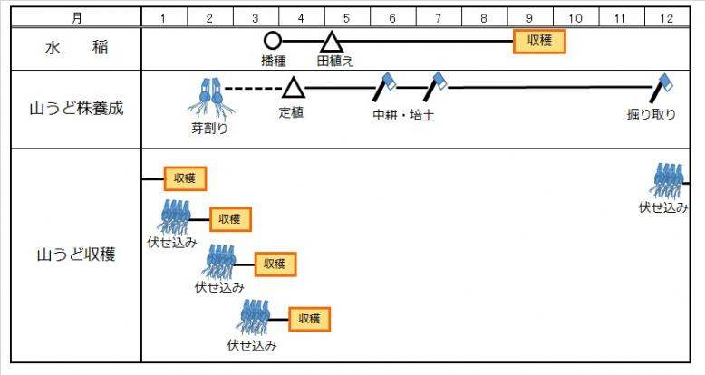 r1山うど4