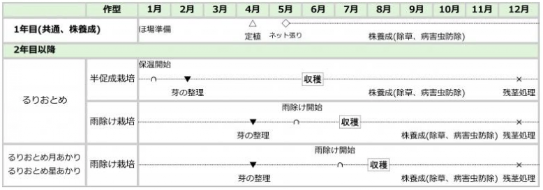 るり作型