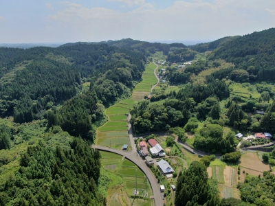 大内脇郷の棚田