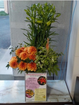 塩谷町役場の10月の飾花の様子