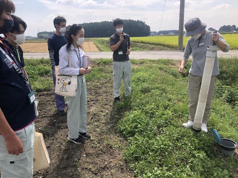 地下かんがい