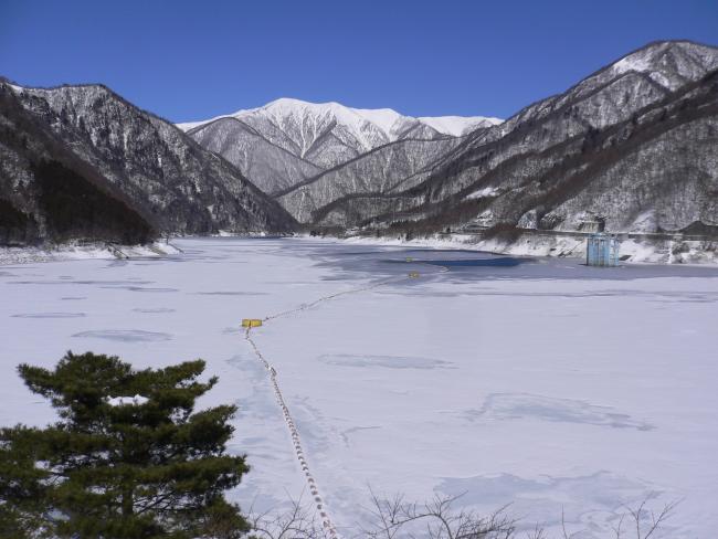 湖面の氷結写真