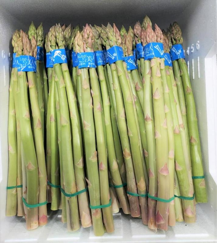 asparagus-syukka