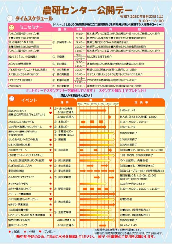 表表