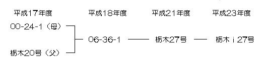 栃木i27号育成経過