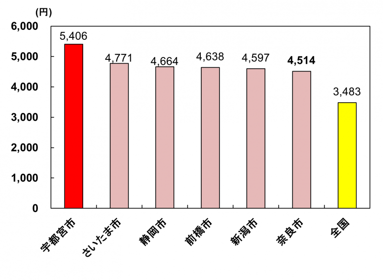 年間支出額ランキンググラフ（宇都宮）