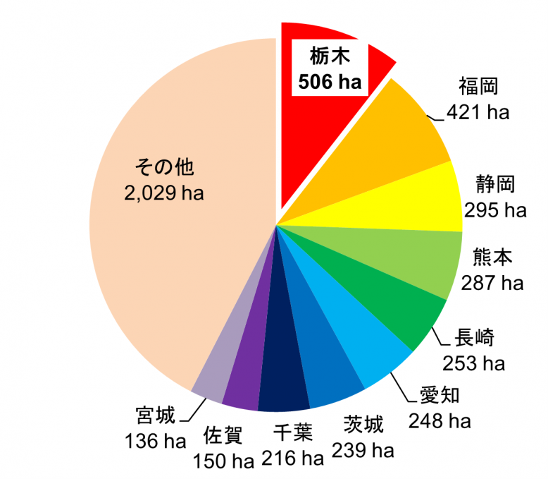 全国作付面積