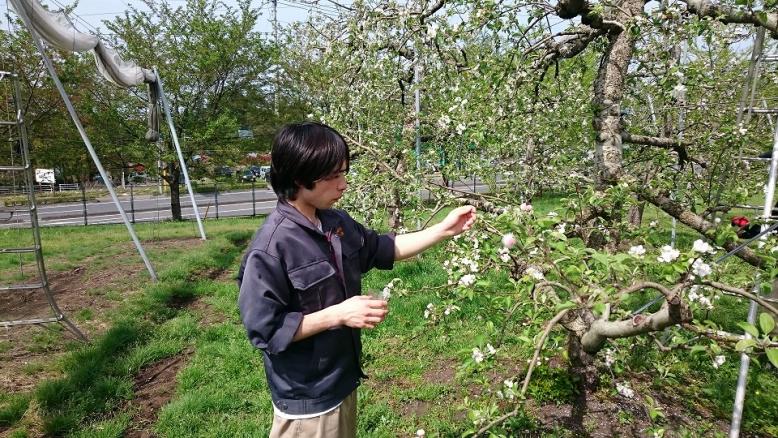 県北に就農予定の学生（果樹専攻）