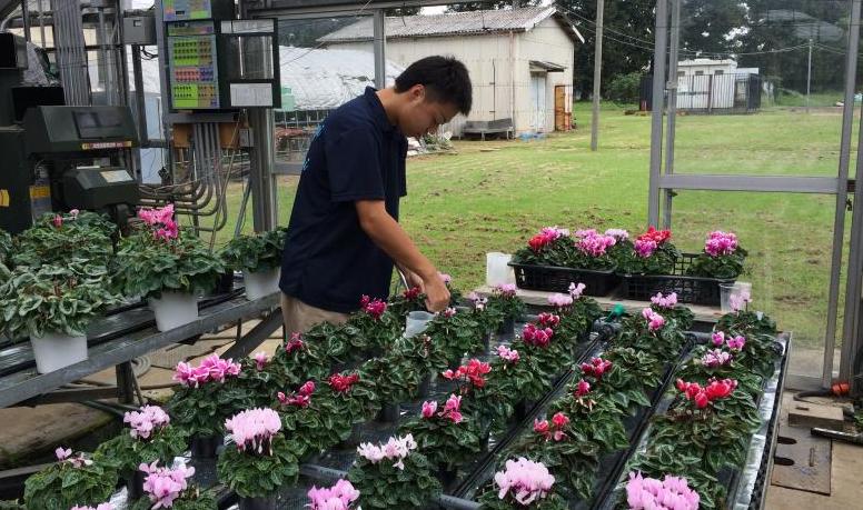 県南に就農予定の学生（花き専攻）