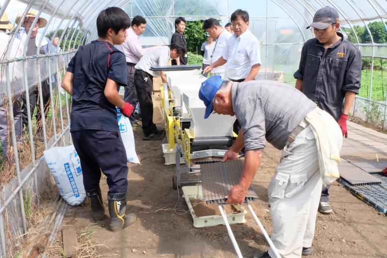 次々にできあがる育苗トレイ