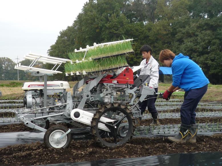 学生による定植機の操作