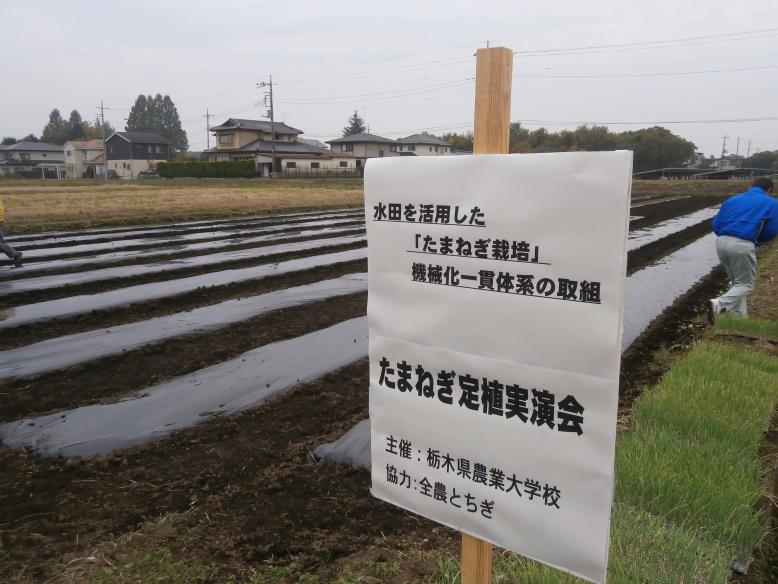 定植前の水田ほ場