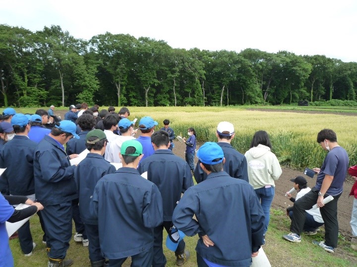 麦圃場での発表