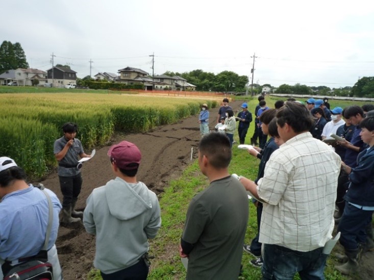 麦圃場での発表2