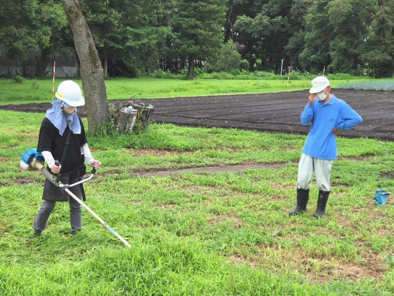 刈払機の実技練習