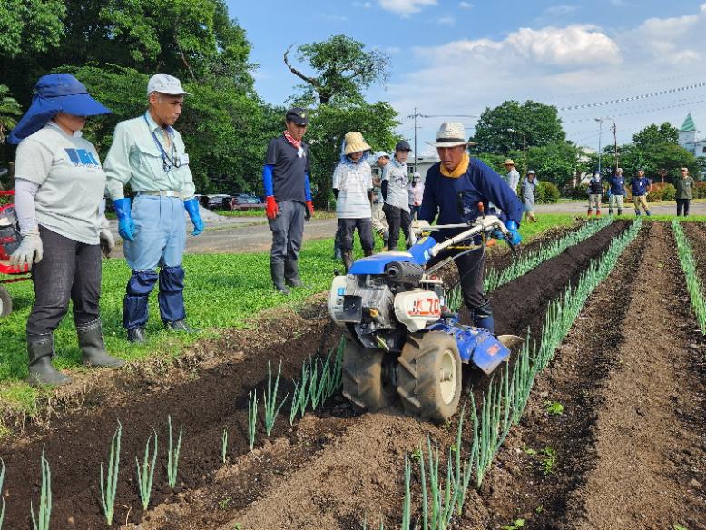 管理機によるねぎの土寄せを学びます