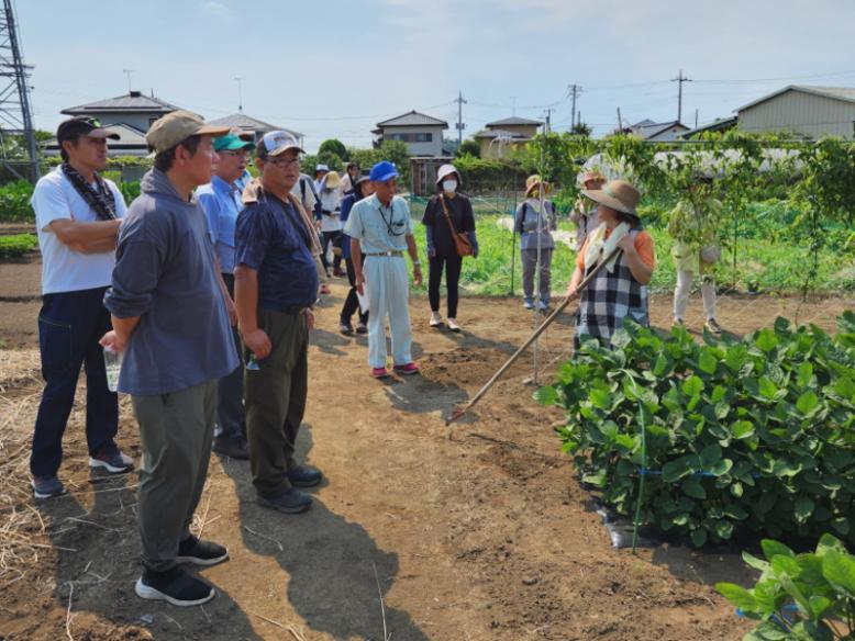 自宅前に広がる野菜畑