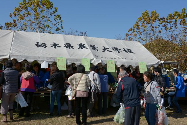 研修科の野菜の直売