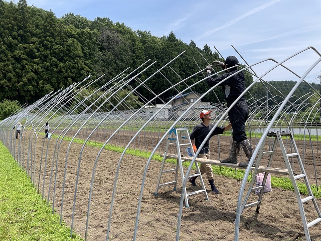 パイプハウスの骨組みを組み立てる