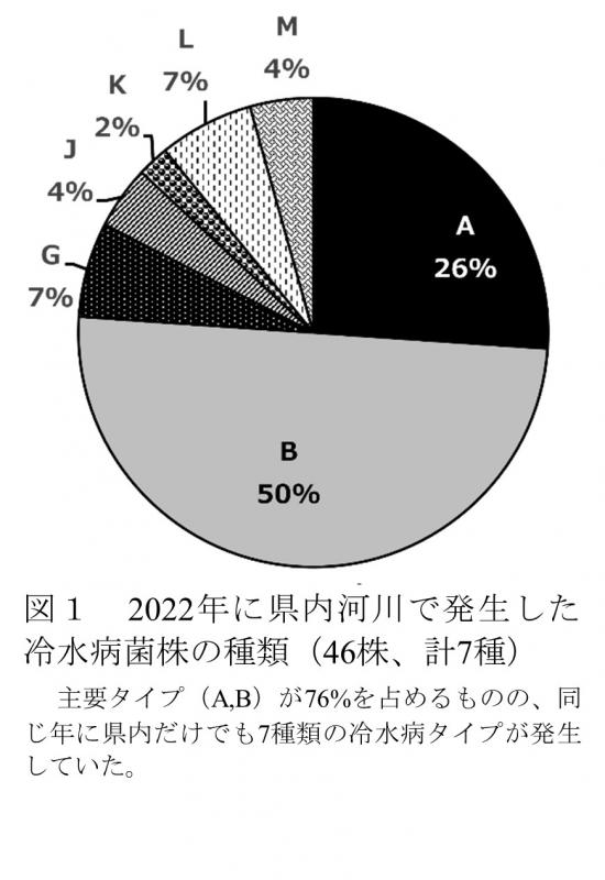 2022年に県内河川で発生した冷水病菌株の種類