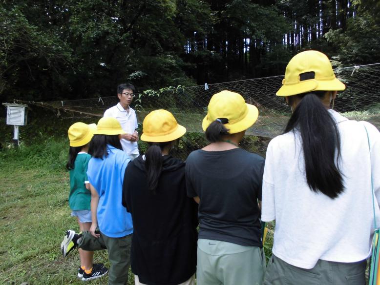 山田生息地での現地授業