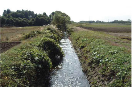 河川整備前