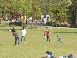 日光だいや川公園の写真