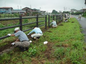 活動写真2