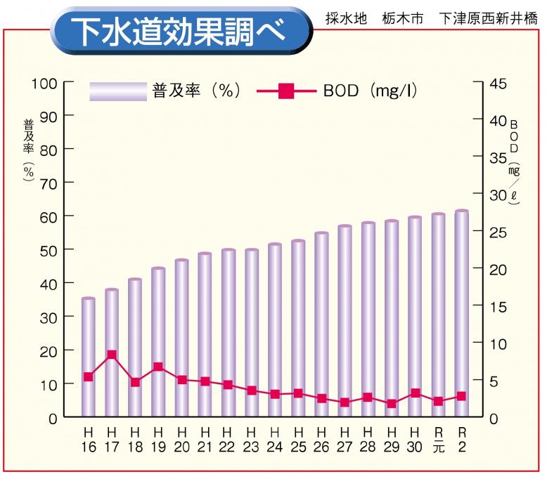 大岩藤　効果調べ