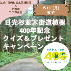杉並木400年クイズ＆プレゼントキャンペーン画像