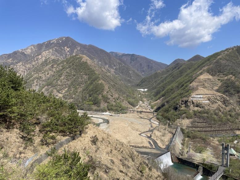 植樹地の風景