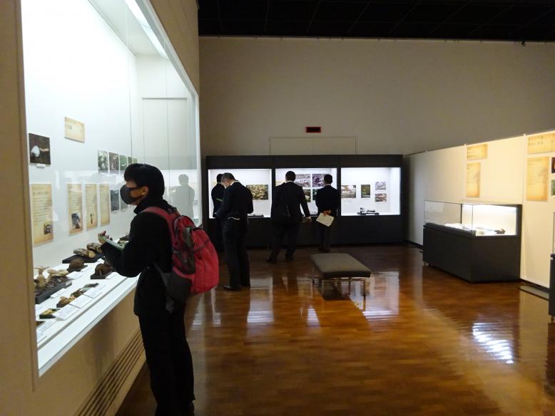 写真：第4回社会教育関係職員研修 那須野が原博物館見学の様子