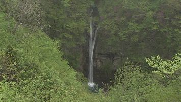 写真：那須平成の森