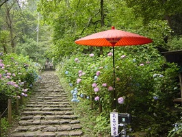 写真：大平山