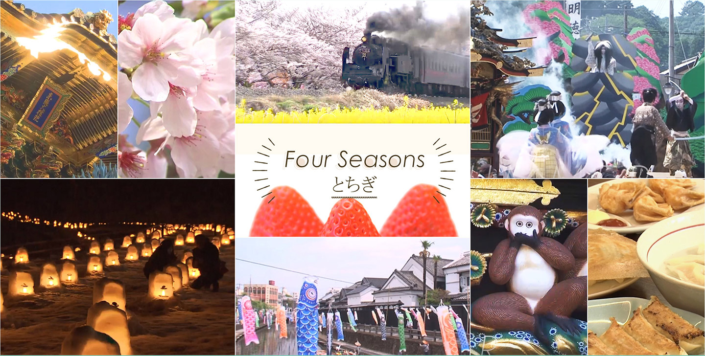 Four Season とちぎ