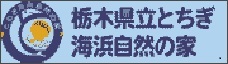 栃木県立とちぎ海浜自然の家